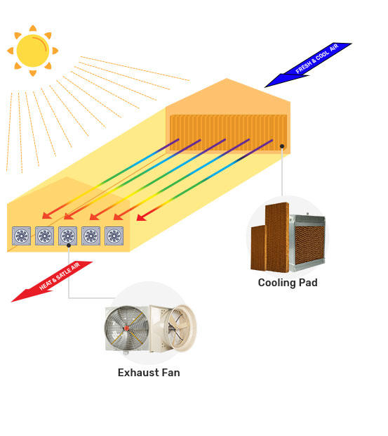 Cooling Pad System