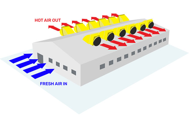 Exhaust Fan System